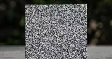 濮阳 芝麻黑荔枝面