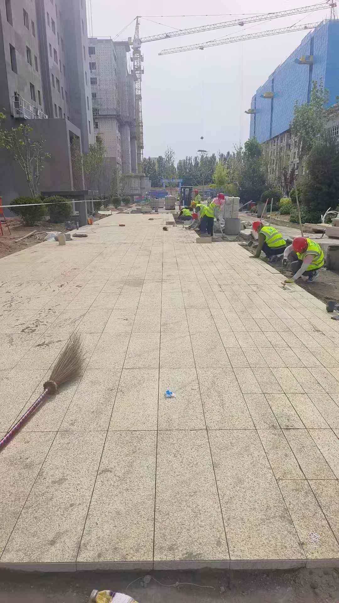 濮阳黄金麻荔枝面地铺案例