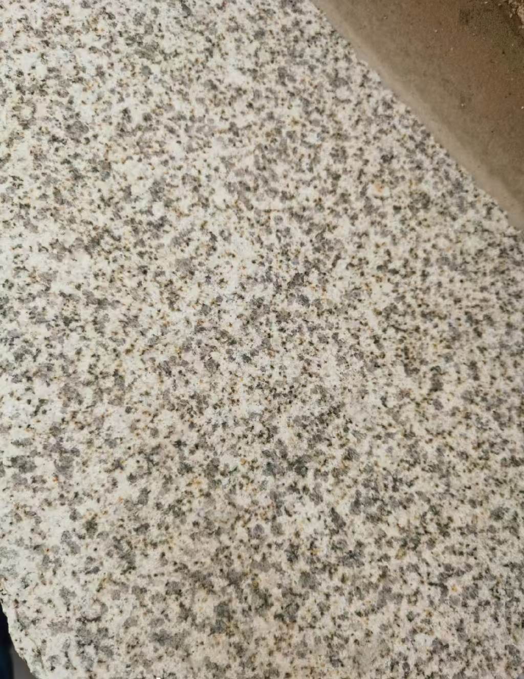 濮阳 黄金麻中黄光面