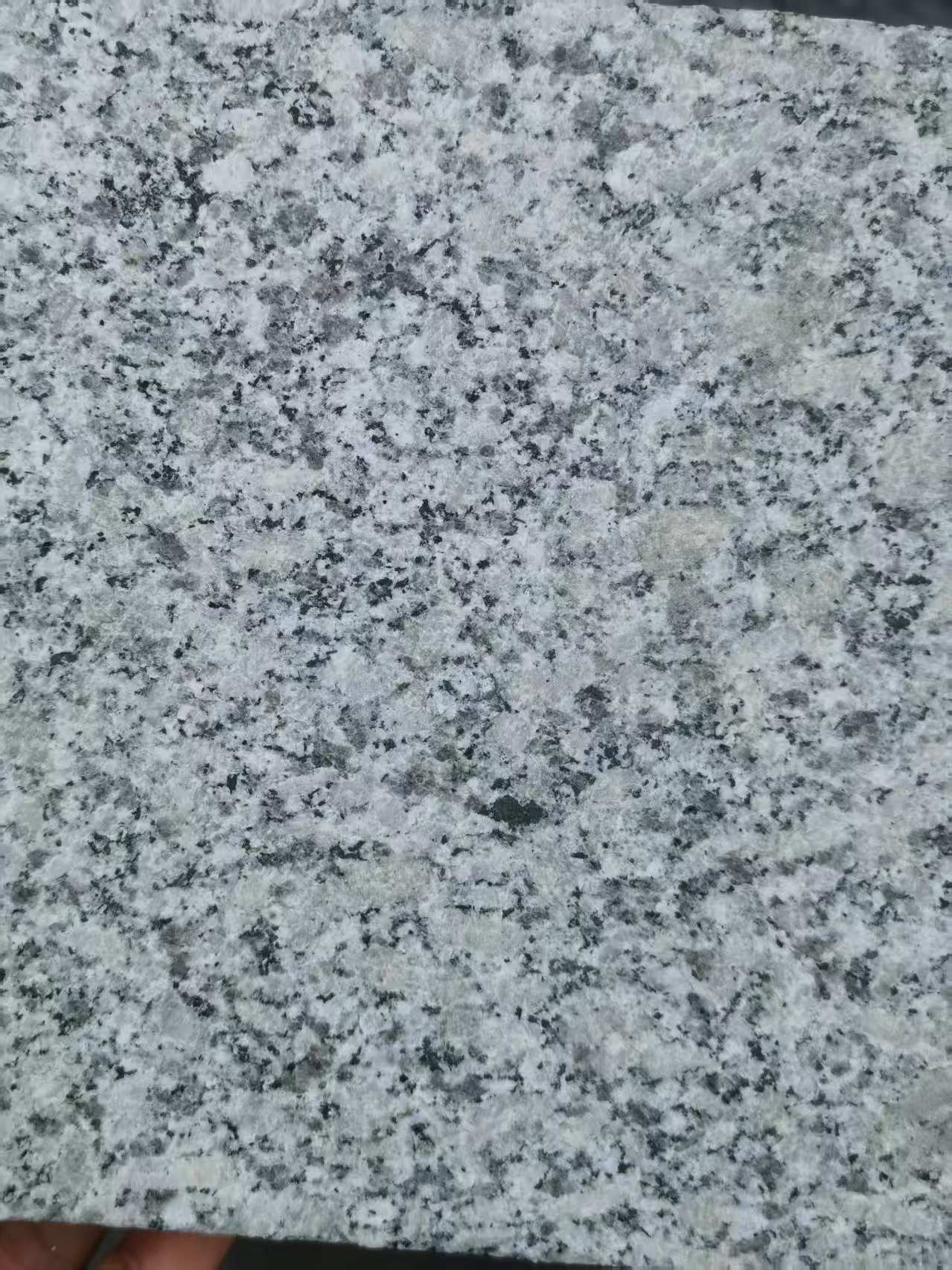 濮阳 芙蓉白火烧面